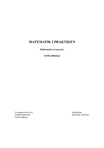 MATEMATIK I PRAKTIKEN