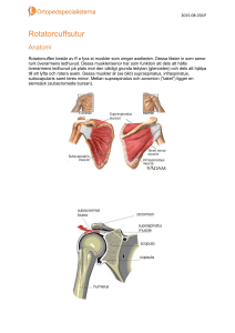 Rotatorcuffsutur - Ortopedspecialisterna