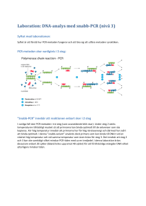 Laboration: DNA-analys med snabb-PCR (nivå 3)