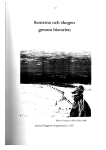 Samerna och skogen genom historien