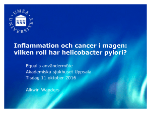 Inflammation och cancer i magen: vilken roll har