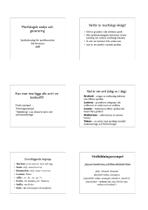 Preview of “morfologi2009.key”