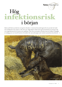 Hög i början