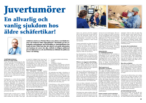 En allvarlig och vanlig sjukdom hos äldre schäfertikar!