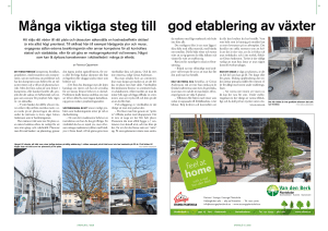 Många viktiga steg till god etablering av växter