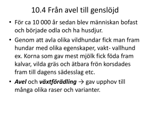 10.4 Från avel till genslöjd