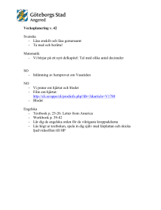 Veckoplanering v43