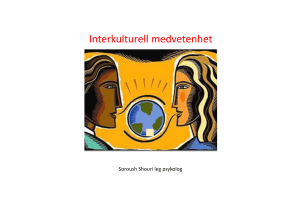 Interkulturell medvetenhet