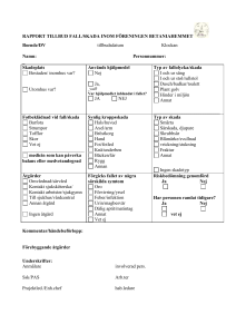 RAPPORT ANG FALL/ SKADA INOM BETANIAFÖRENINGEN