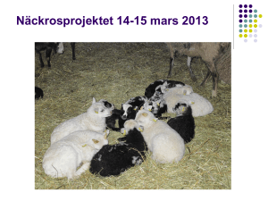 Presentation slutrapport - Kristin Bjurner 2013-03-14