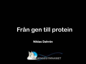 Från gen till protein
