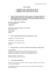Carprodyl tablet PL