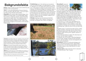 Bakgrundsfakta