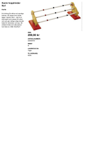 299,00 kr