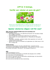 LPP år 4 biologi, Varför ser växter ut som de gör? Spelar växterna