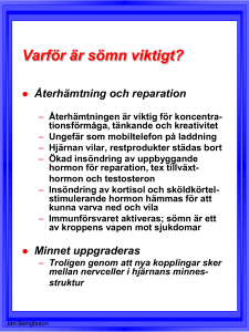 MENTAL TRÄNING