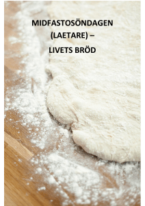 Här kan du läsa söndagens texter!