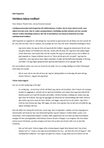 Seth Engström - Axla Information