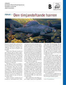 Den timjandoftande harren
