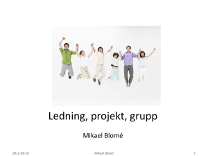 Ledning, projekt, grupp