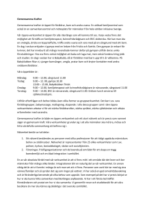 Gemensamma krafter i Borlänge