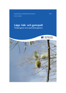 Läpp- käk- och gomspalt