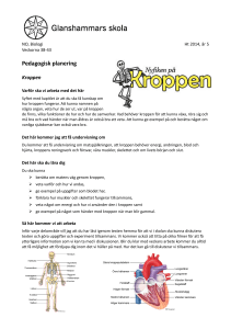 Pedagogisk planering