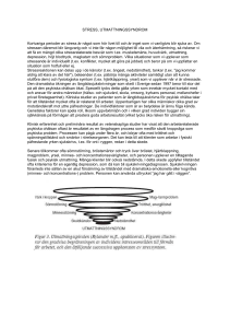 Stress/utmattning - IBT - Institutet för kognitiv beteendeterapi