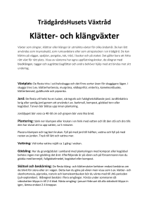 Klätter- och Klängväxter