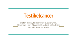 Testikelcancer