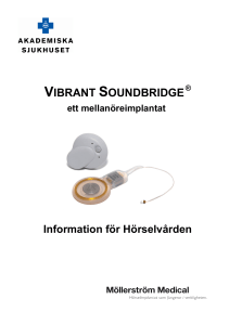 vibrant soundbridge