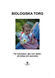 biologiska torg - Upplands Väsby kommun