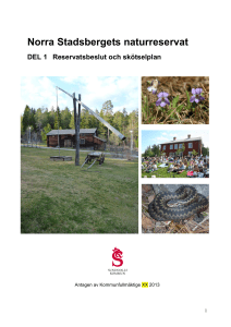 Norra Stadsbergets naturreservat - Skyddad natur
