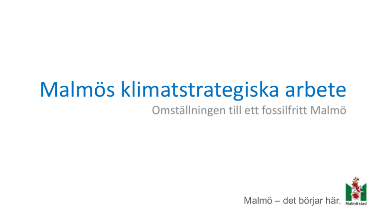 Jonas Kamleh Malm Stad