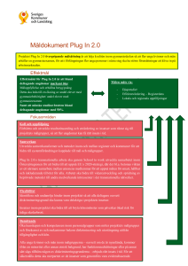 Plug In 2.0:s transnationella arbete ska genom School to work
