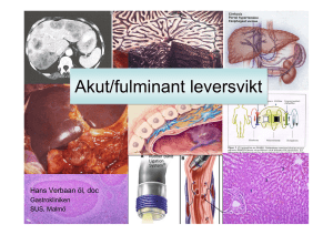 Akut/fulminant leversvikt