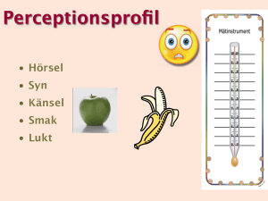 Perceptionsprofil