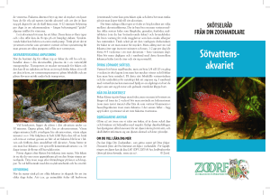 Sötvattens- akvariet