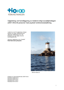 En vägledning för biståndsbedömning av insatser enligt lagen om