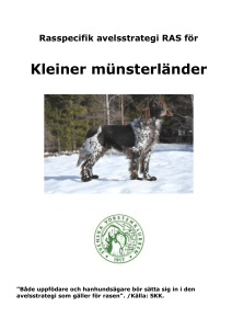 Kleiner münsterländer - Svenska Kennelklubben