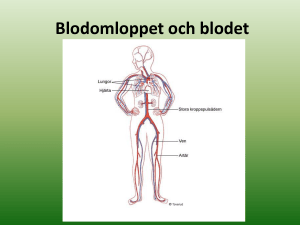 Blodomloppet och blodet