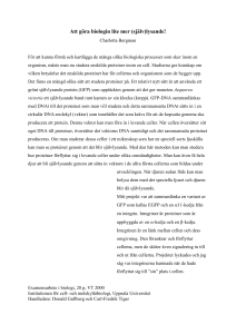 Populärvetenskaplig sammanfattning