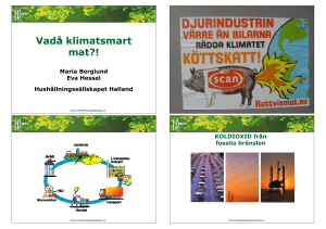 Vadå klimatsmart mat?!