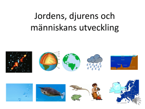 PowerPoint-presentation