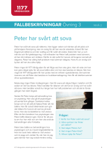 Fallbeskrivning Peter nivå 2
