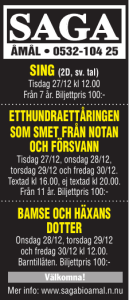 bamse och häxans dotter etthundraettåringen som smet från