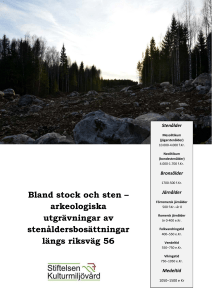 arkeologiska utgrävningar av stenåldersbosättningar längs riksväg 56