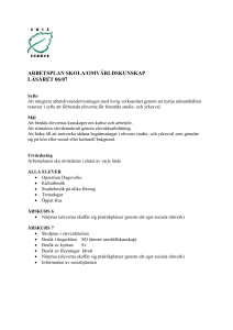Arbetsplan GRO 06-07