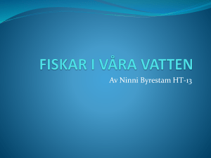 FISKAR I VÅRA VATTEN