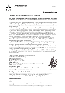 PDF-dokument